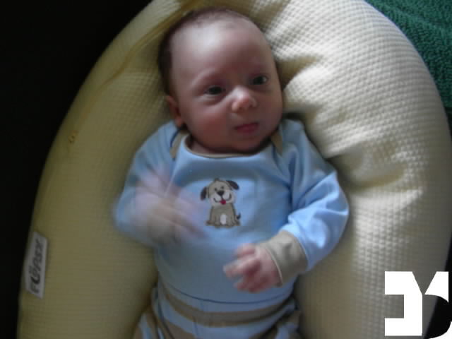 Yuki - 20090928 14.38 - 50 giorni - 733-FDM.JPG